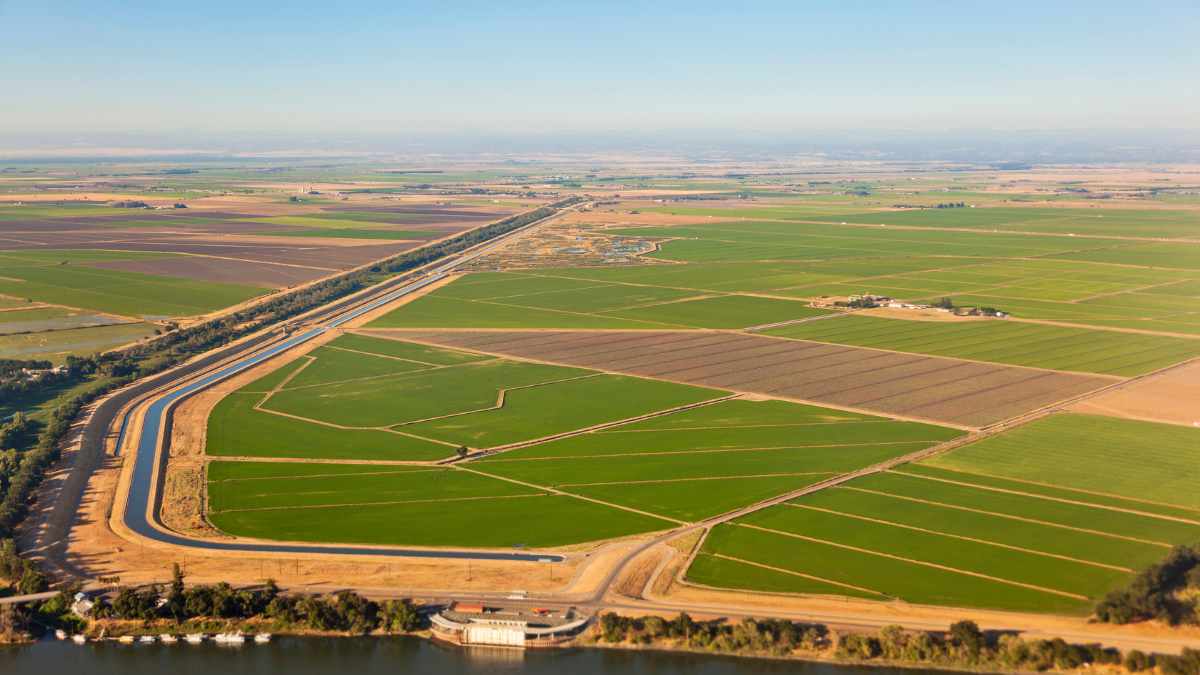 Central Valley farmland in Modesto CA with Mount Oso in the background.